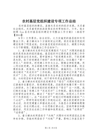 农村基层党组织建设专项工作总结