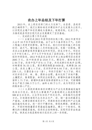 农办上年总结及下年打算