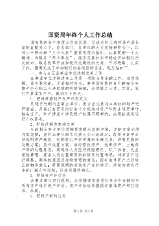 国资局年终个人工作总结