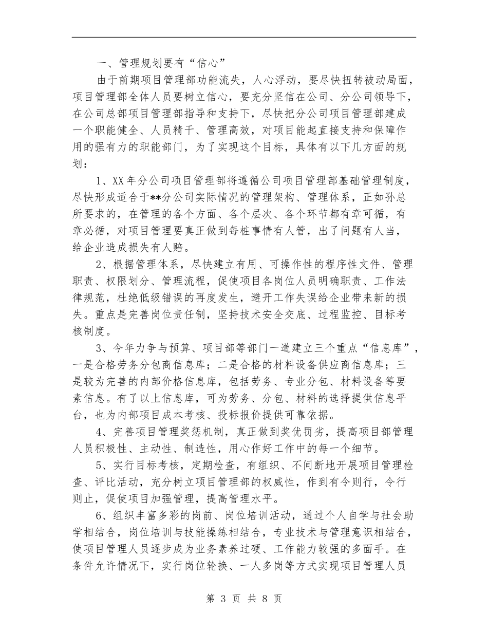 公司项目管理工作总结_第3页