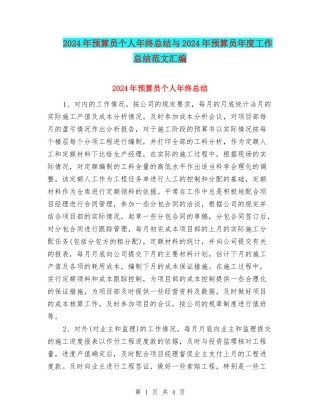 2024年预算员个人年终总结与2024年预算员年度工作总结范文汇编