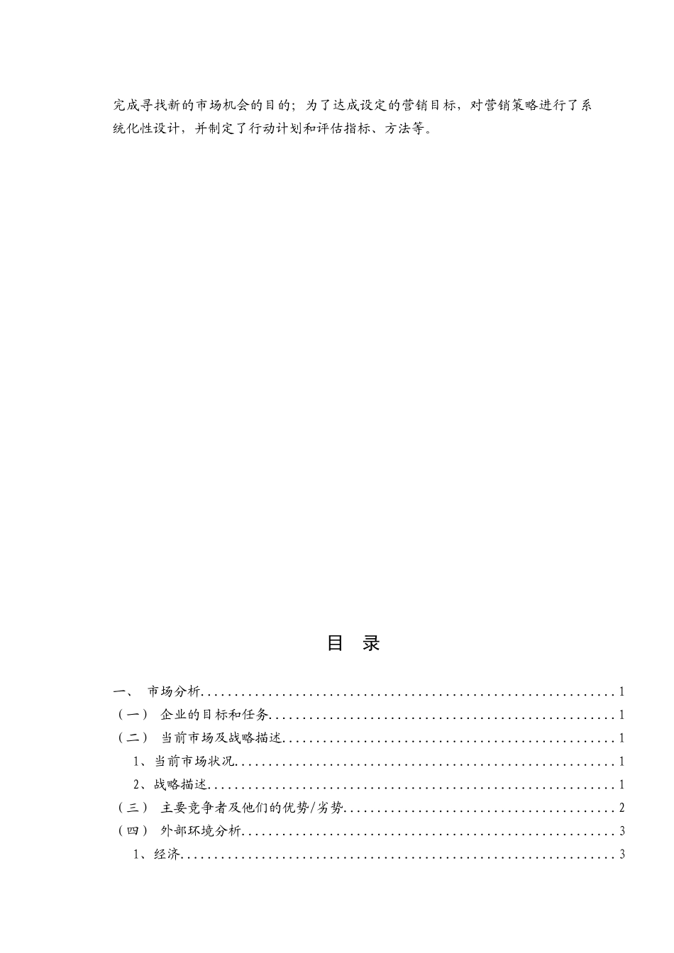 市场营销计划_第2页