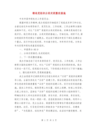 党组织分类定级整改措施