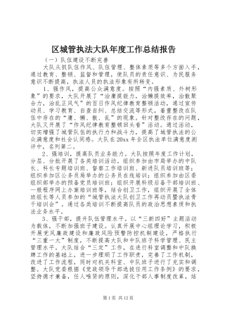 区城管执法大队年度工作总结报告