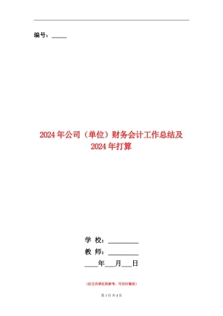 2024年公司财务会计工作总结及2024年打算