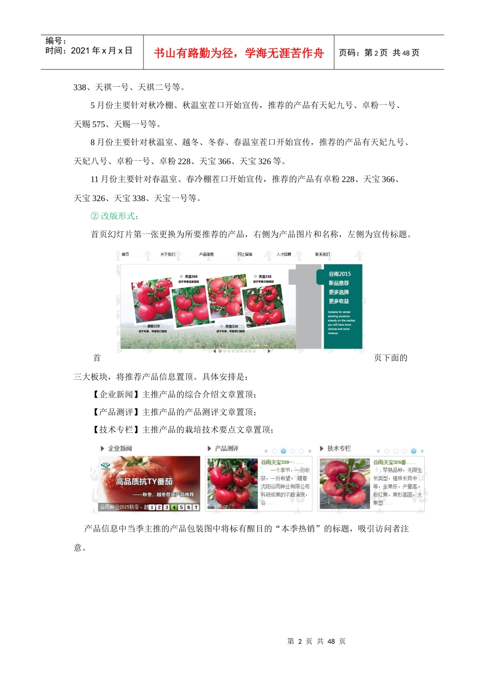 XXXX年网络推广工作发实施展方案_第2页