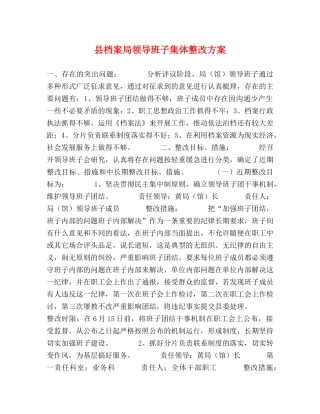 县档案局领导班子集体整改方案 