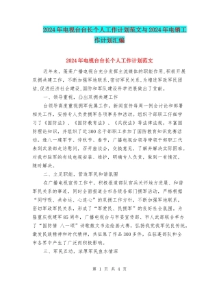 2024年电视台台长个人工作计划范文与2024年电销工作计划汇编