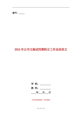2024年公司文秘试用期转正工作总结范文
