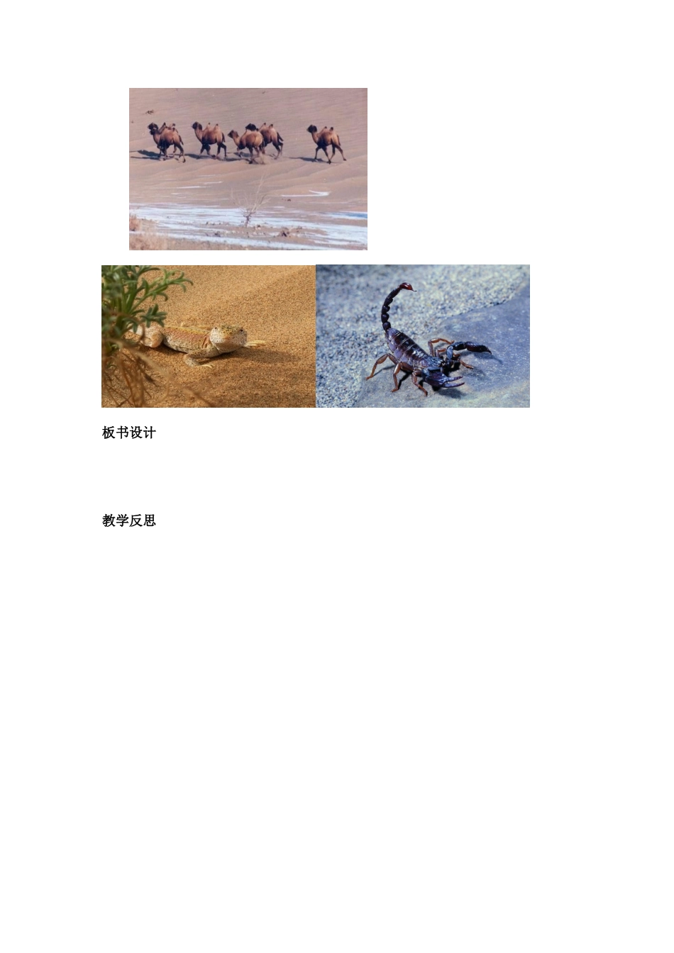 2024-2024年青岛版科学六上《动物的运动》表格式电子备课_第3页