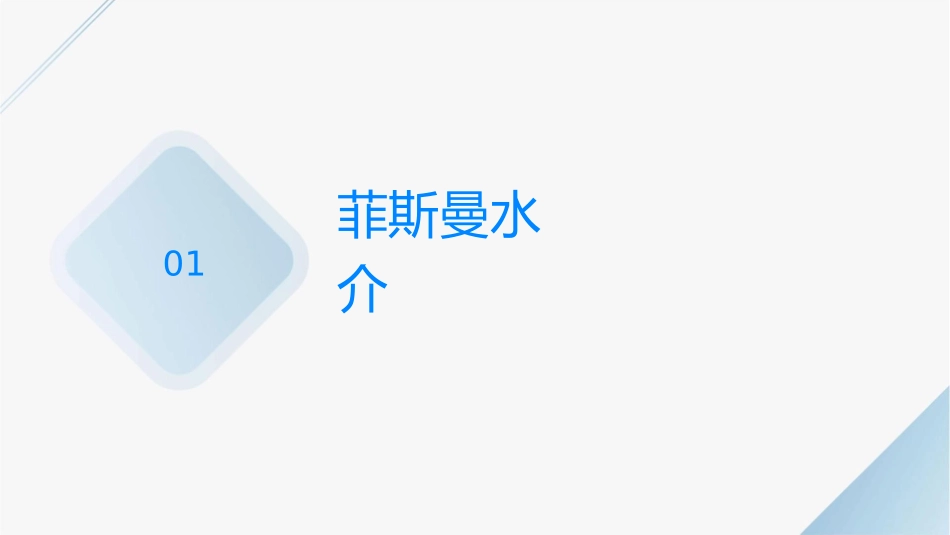 菲斯曼热水锅炉技术培训课件_第3页