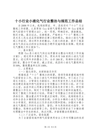 十小行业小液化气行业整治与规范工作总结