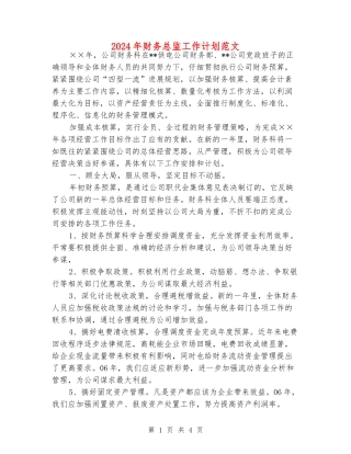 2024年财务总监工作计划范文