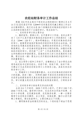 农经站财务审计工作总结
