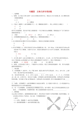四川省2010届高三数学专题训练4 立体几何（理）（2010年3月成都研讨会资料）旧人教版 