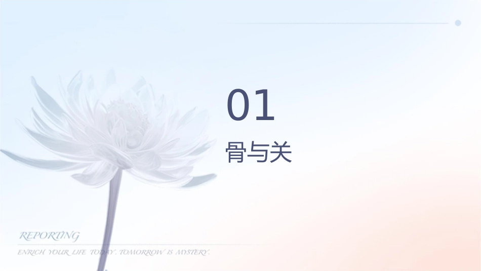 骨与关节创伤护理课件_第3页