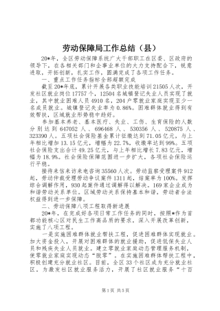 劳动保障局工作总结（县）