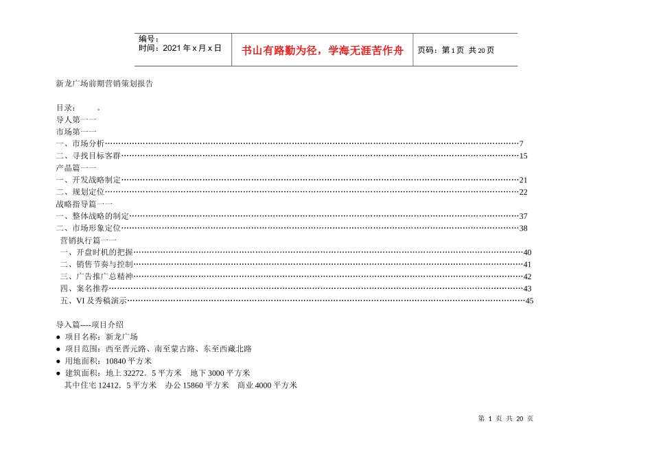 204 上海地产 新龙广场前期营销策划报告_第1页