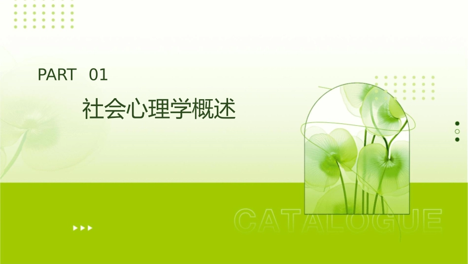 金盛华社会心理学课件_第3页