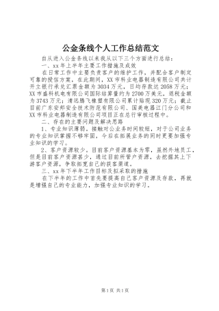 公金条线个人工作总结范文