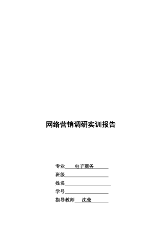 ipad的网络营销调研