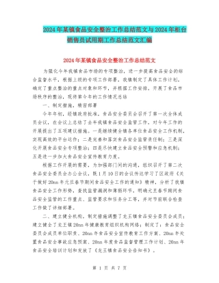 2024年某镇食品安全整治工作总结范文与2024年柜台销售员试用期工作总结范文汇编