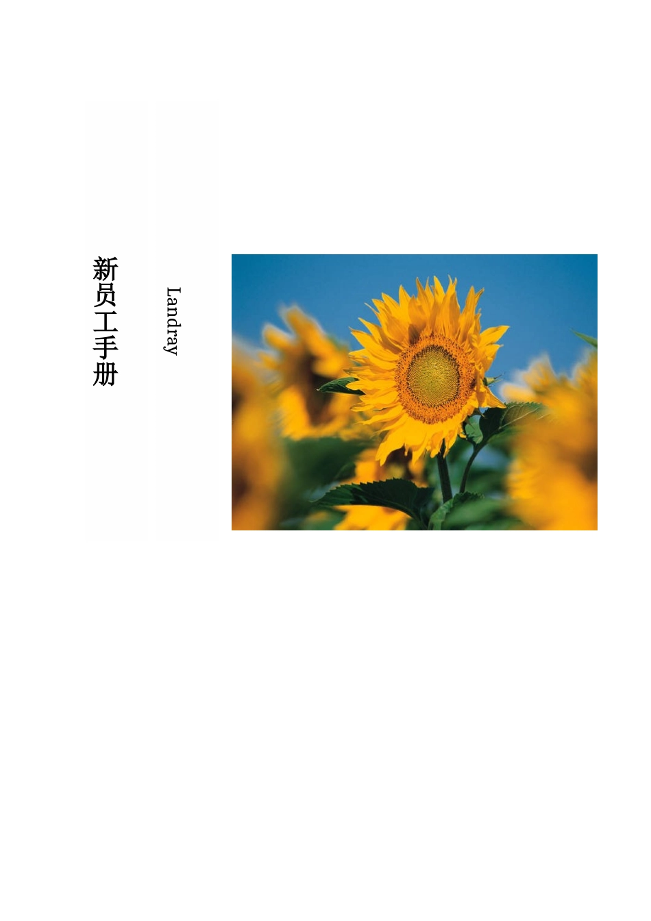 新员工手册范本_第1页