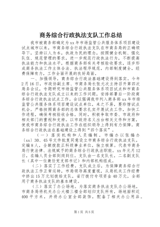 商务综合行政执法支队工作总结