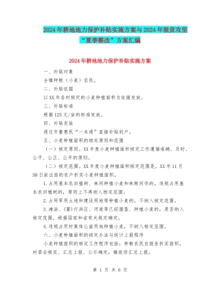 2024年耕地地力保护补贴实施方案与2024年脱贫攻坚“夏季整改”方案汇编