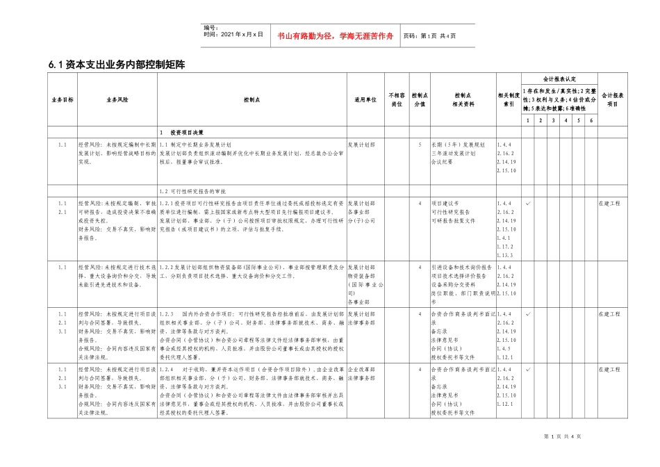 6.1资本支出业务控制矩阵_第1页