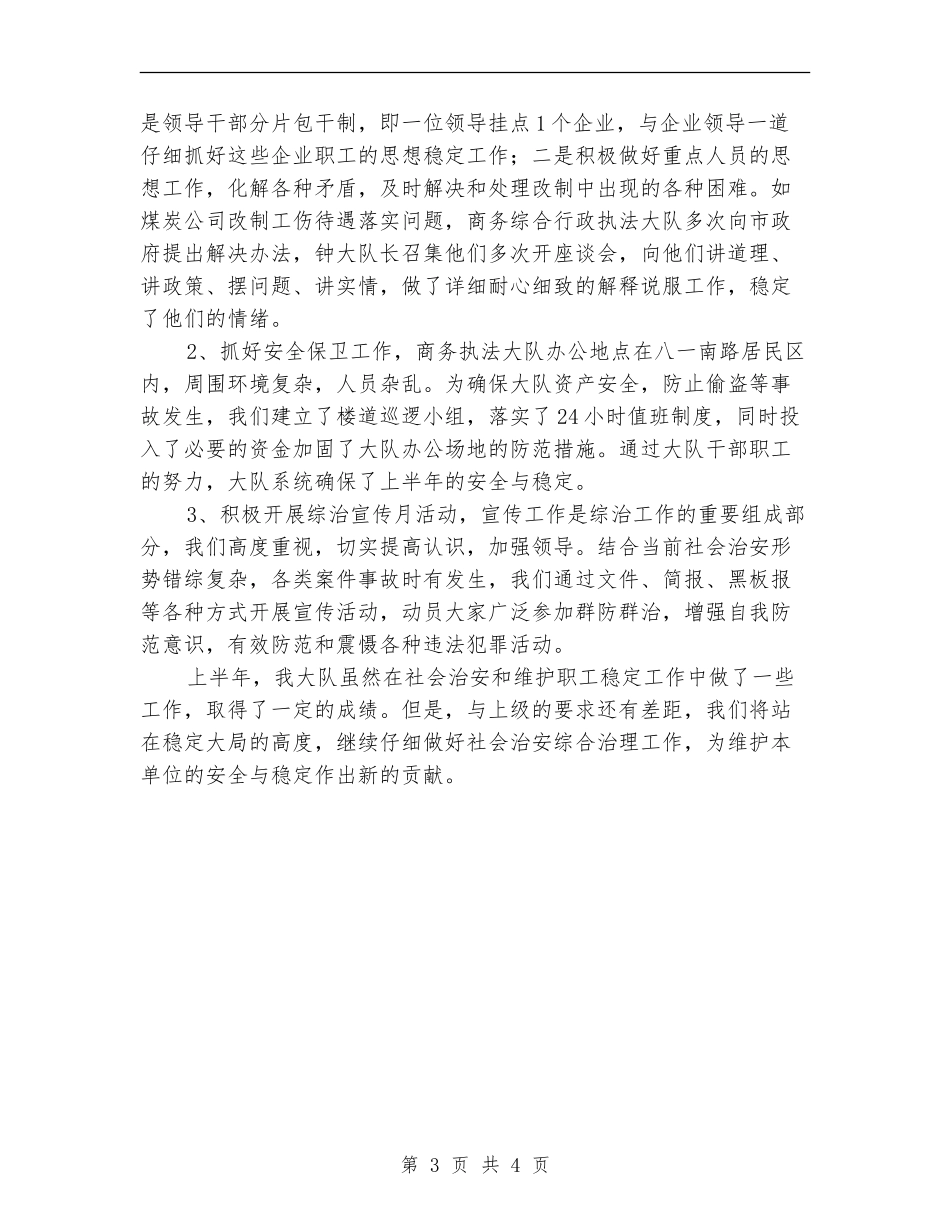 上半年治安综治工作总结_第3页
