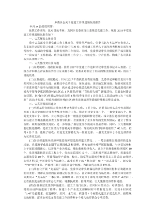乡委员会关于党建工作推进情况的报告 