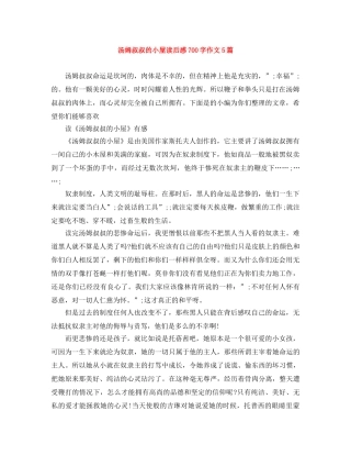 汤姆叔叔的小屋读后感700字作文5篇 