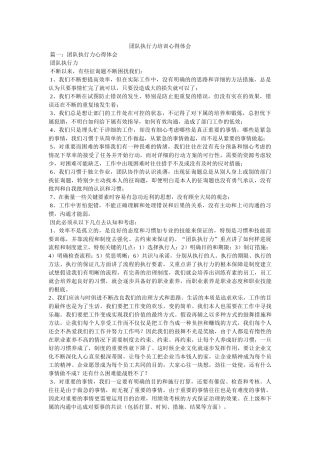 团队执行力培训心得体会 