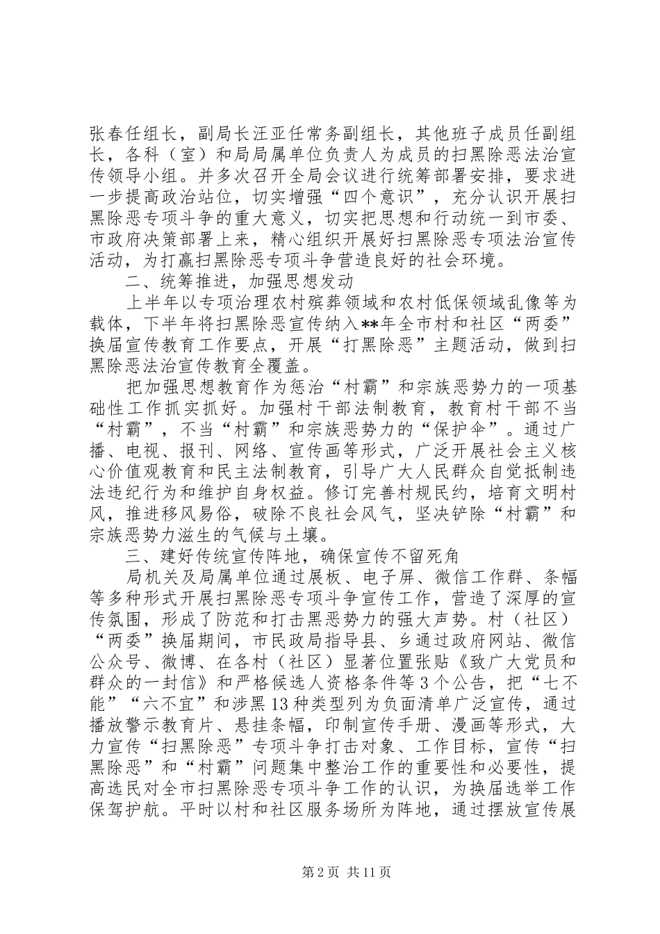 扫黑除恶年终工作总结（五篇）_第2页