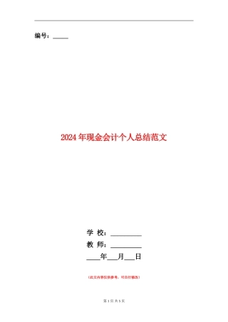 2024年现金会计个人总结范文