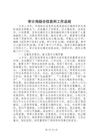 审计局综合信息科工作总结