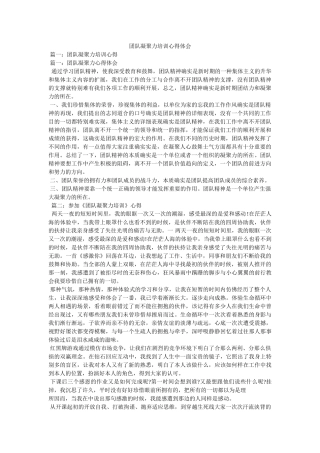 团队凝聚力培训心得体会 