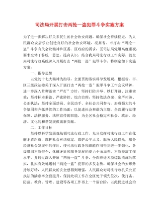 司法局开展打击两抢一盗犯罪斗争实施方案 