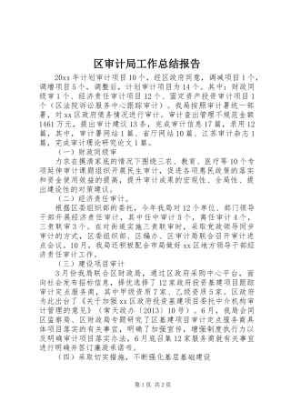 区审计局工作总结报告