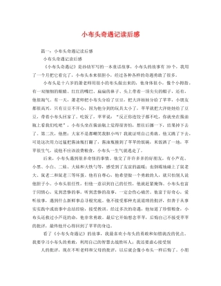 小布头奇遇记读后感 
