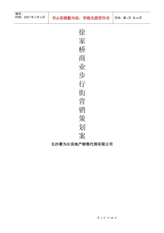 徐家桥商业步行街营销策划案