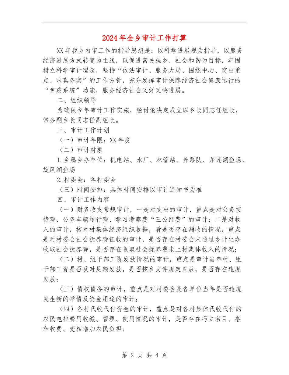 2024年全乡审计工作打算_第2页