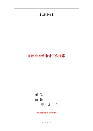 2024年全乡审计工作打算
