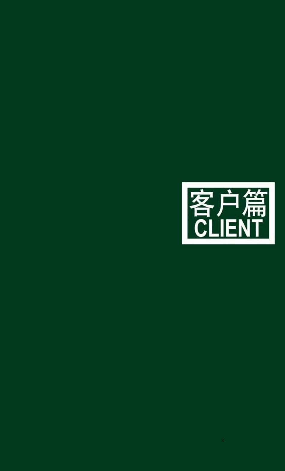 崇明城桥镇项目营销策划报告_第3页