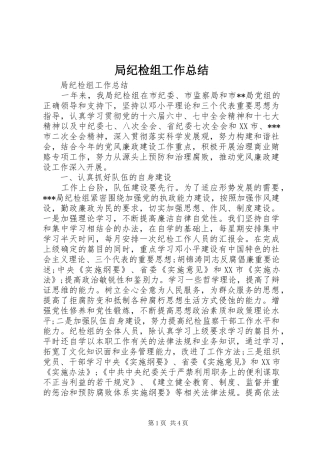 局纪检组工作总结