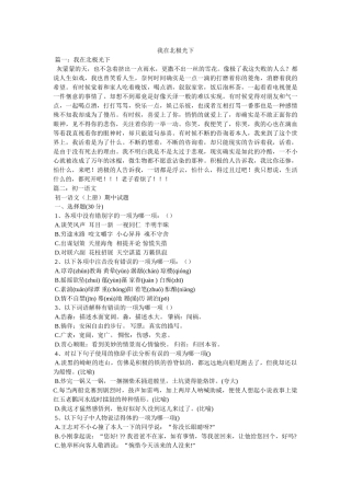 我在北极光下 