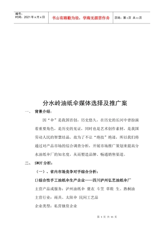 分水岭油纸伞媒体选择与推广案