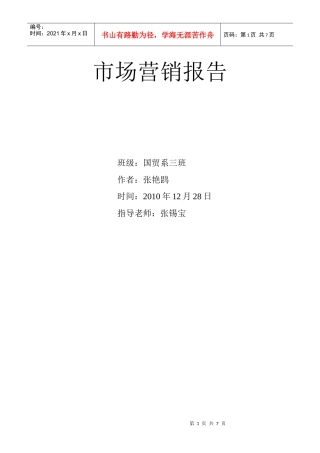 市场营销报告9812520191