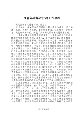 区青年志愿者行动工作总结